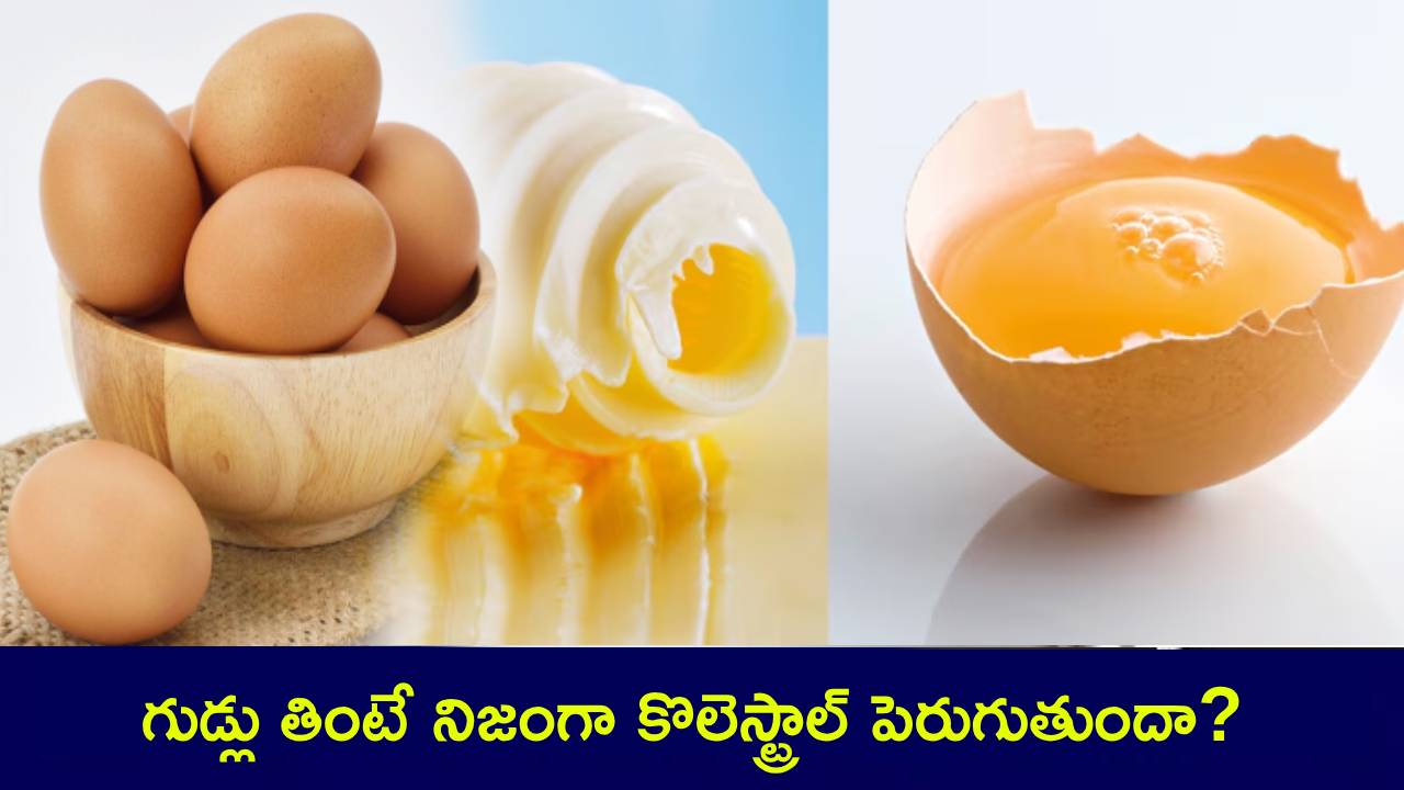 Eggs Cholesterol Truth : గుడ్లు తింటే నిజంగా కొలెస్ట్రాల్ పెరుగుతుందా? అసలు రోజుకు ఎన్ని తినొచ్చు? ఈ స్టోరీ చదివాక మీకే తెలుస్తుంది! Eggs Cholesterol Truth : గుడ్లు తింటే నిజంగా కొలెస్ట్రాల్ పెరుగుతుందా? అసలు రోజుకు ఎన్ని తినొచ్చు? ఈ స్టోరీ చదివాక మీకే తెలుస్తుంది!