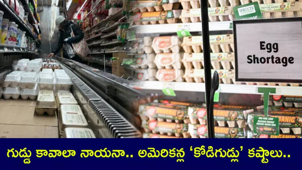 Facing egg shortage