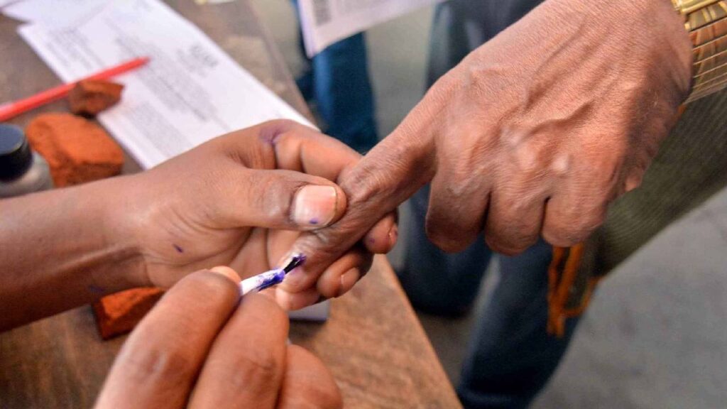 MLC elections