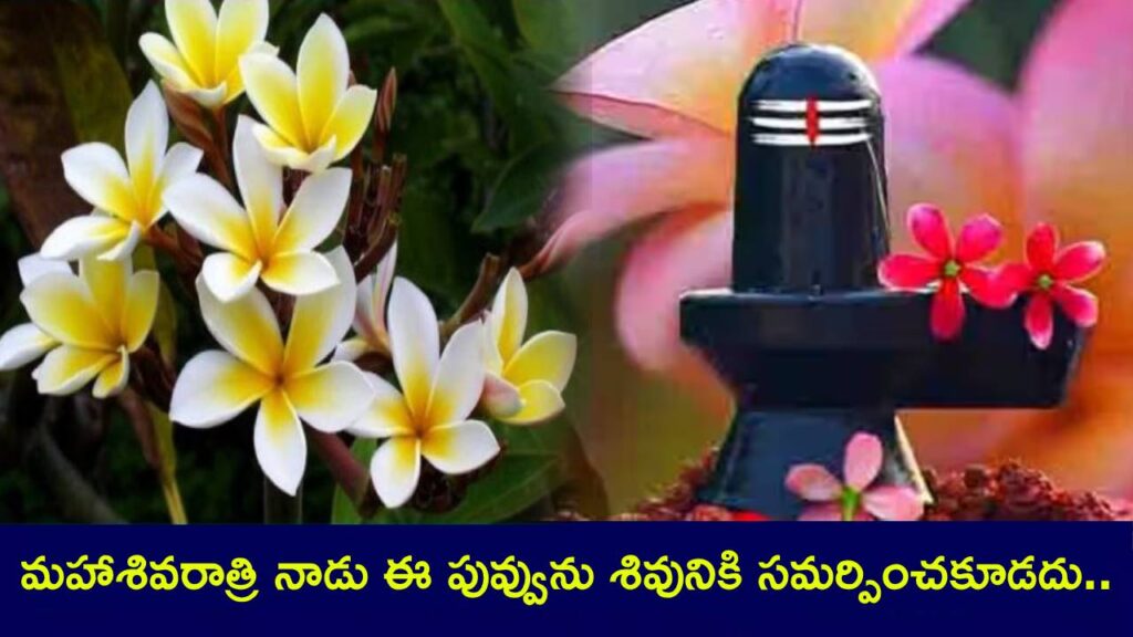 Maha Shivratri 2025