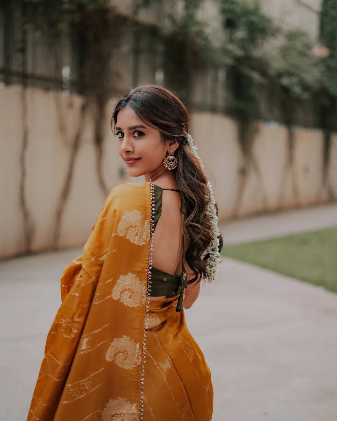 Nabha Natesh Festival Special Saree Photos