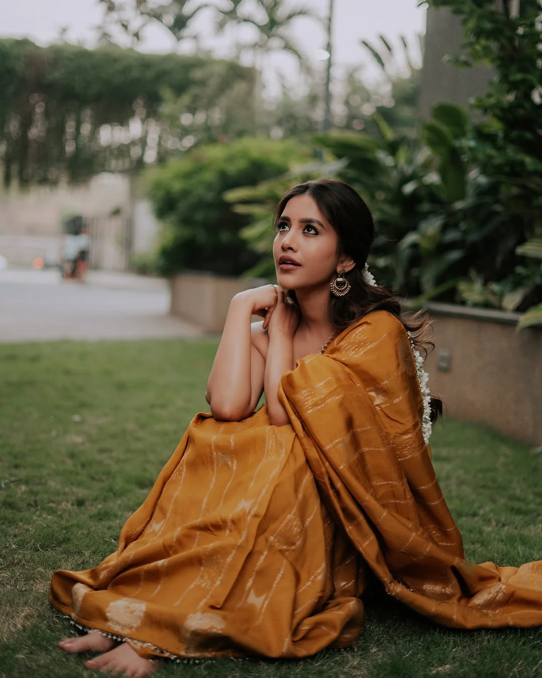 Nabha Natesh Festival Special Saree Photos
