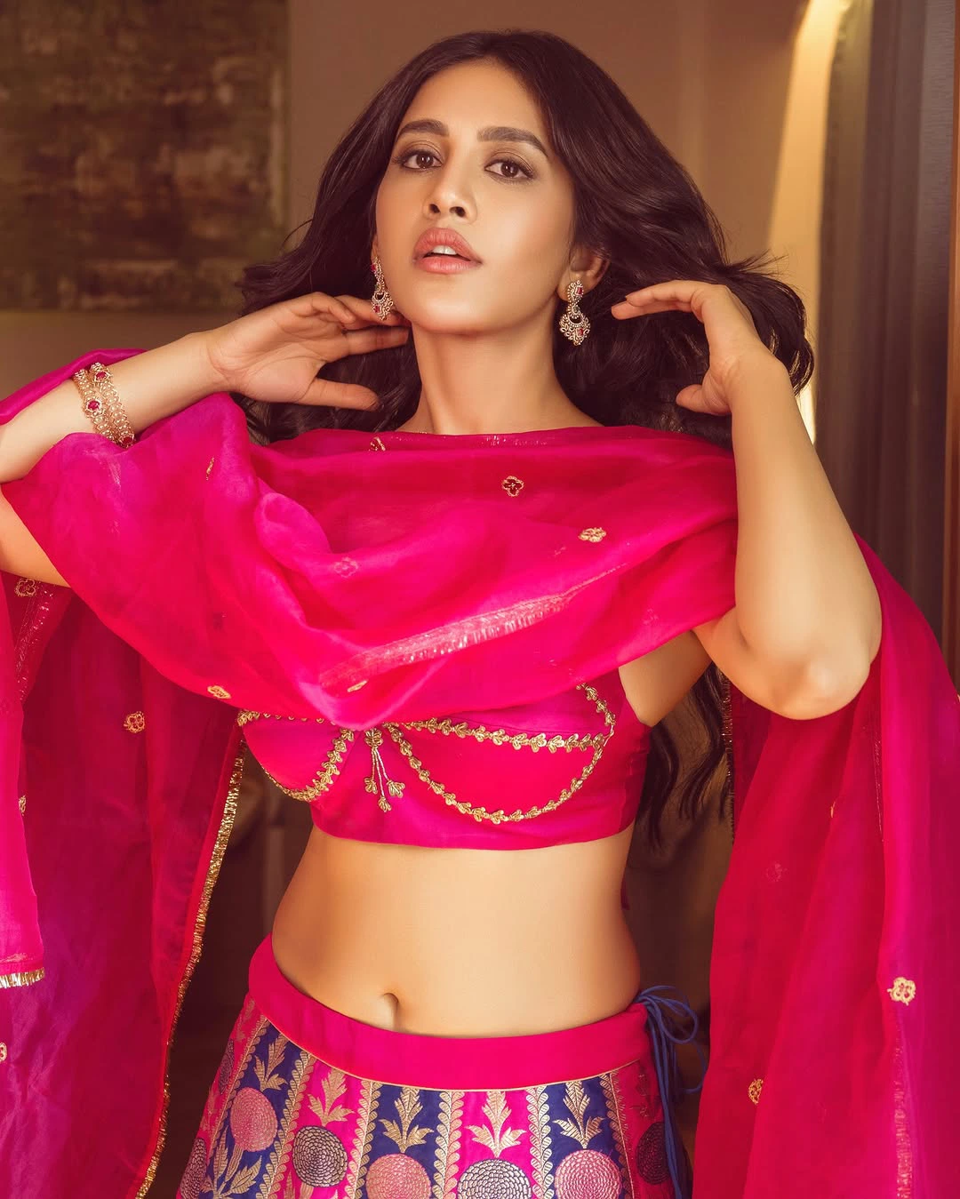 Nabha Natesh in Lehenga Dress