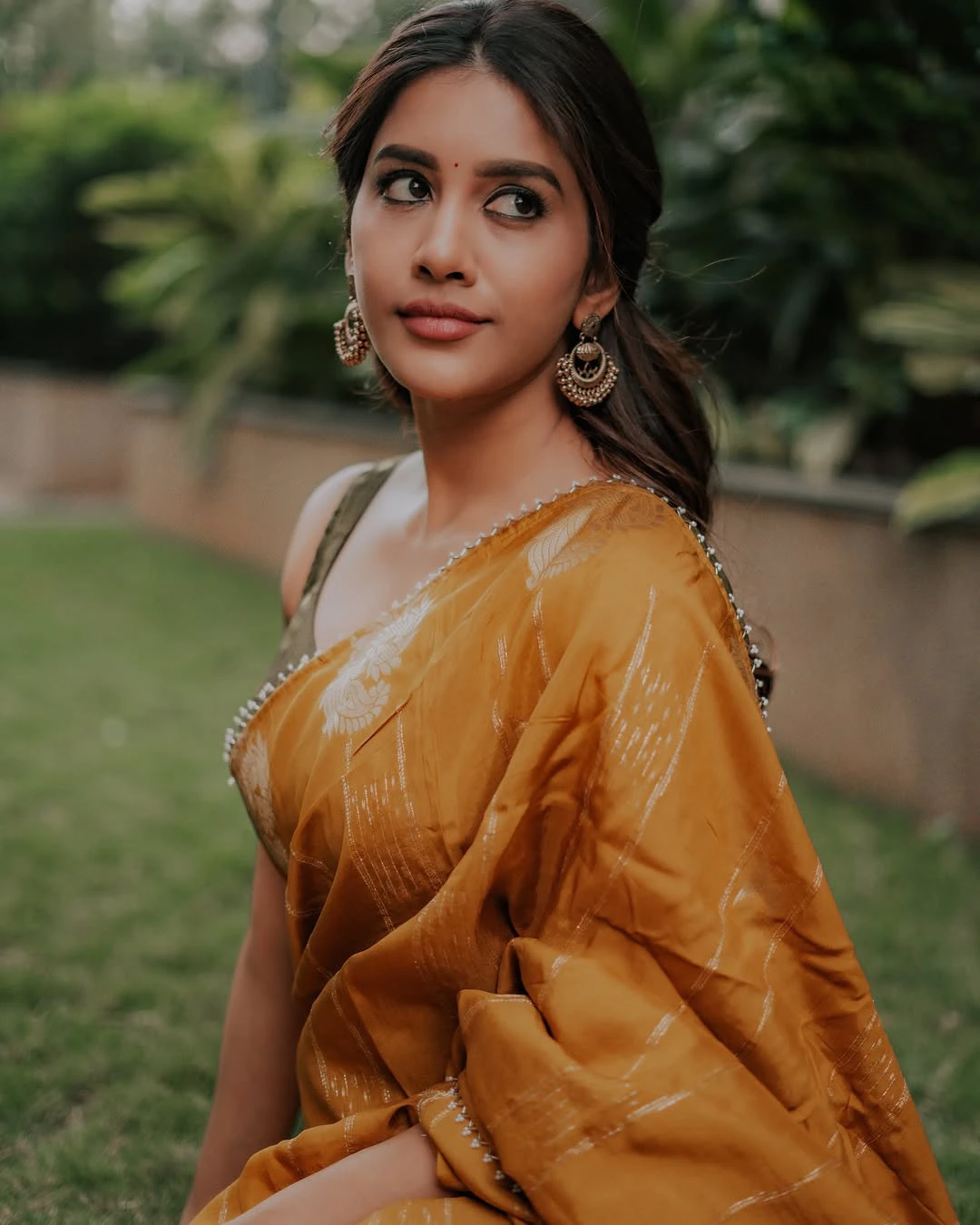 Nabha Natesh Festival Special Saree Photos