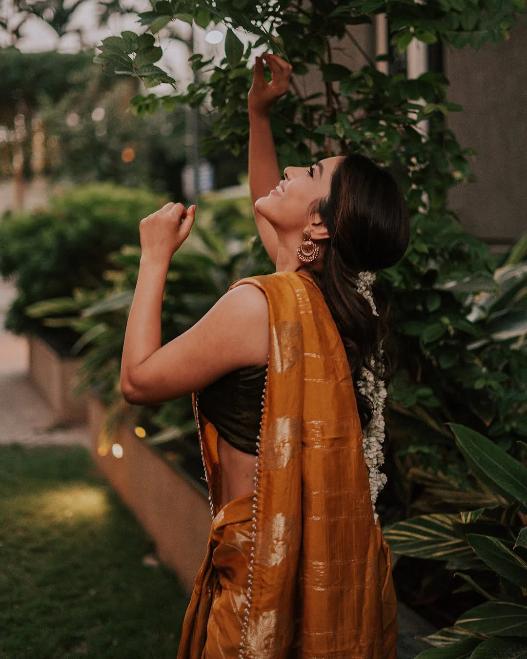 Nabha Natesh Festival Special Saree Photos