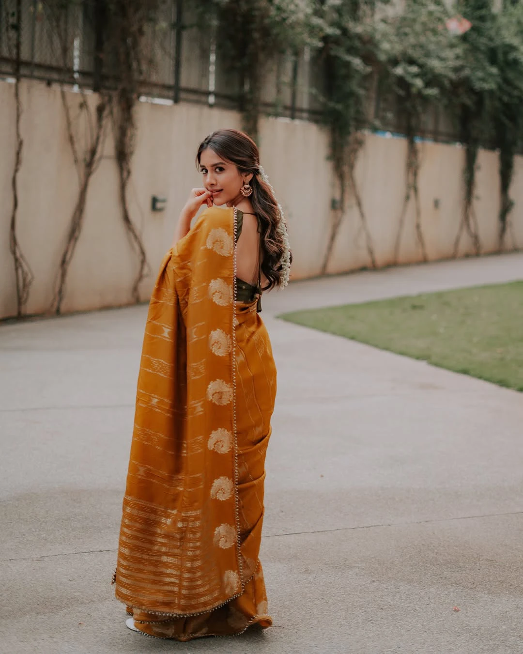 Nabha Natesh Festival Special Saree Photos