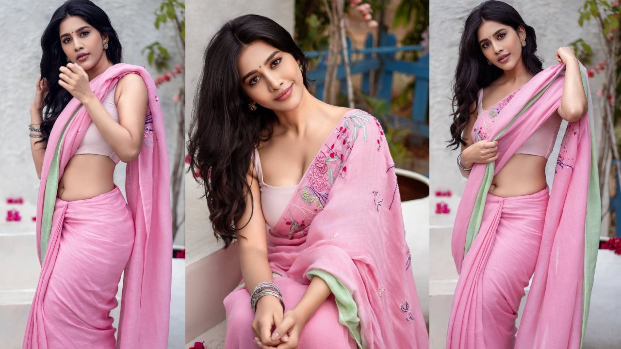 Nabha Natesh : గులాబి కళ్ళు రెండు ముల్లు చేసి గుండెలోకి గుచ్చుతున్నావే.. గులాబీ చీరలో నభా నటేష్ అందాలు..