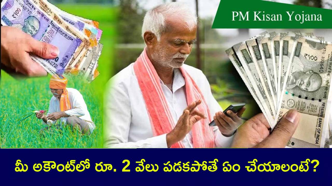 PM Kisan 19th Installment : మరో 3 రోజుల్లో పీఎం కిసాన్ డబ్బులు.. మీ అకౌంట్లో రూ. 2వేలు పడకపోతే ఏం చేయాలంటే? PM Kisan 19th Installment : మరో 3 రోజుల్లో పీఎం కిసాన్ డబ్బులు.. మీ అకౌంట్లో రూ. 2వేలు పడకపోతే ఏం చేయాలంటే?