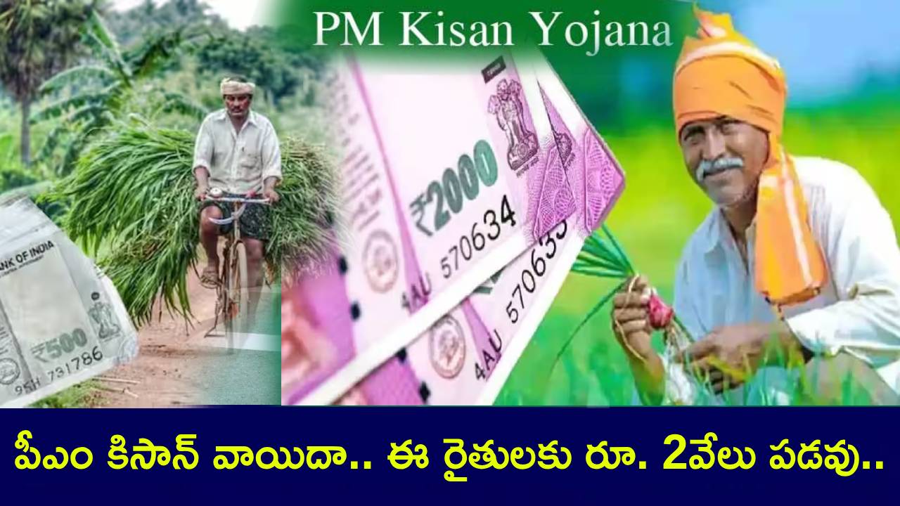 PM Kisan 19th Installment : ఈ నెల 24నే పీఎం కిసాన్ డబ్బులు.. కానీ, ఈ రైతులకు రూ. 2వేలు పడవు.. ఏం చేయాలంటే? PM Kisan 19th Installment : ఈ నెల 24నే పీఎం కిసాన్ డబ్బులు.. కానీ, ఈ రైతులకు రూ. 2వేలు పడవు.. ఏం చేయాలంటే?