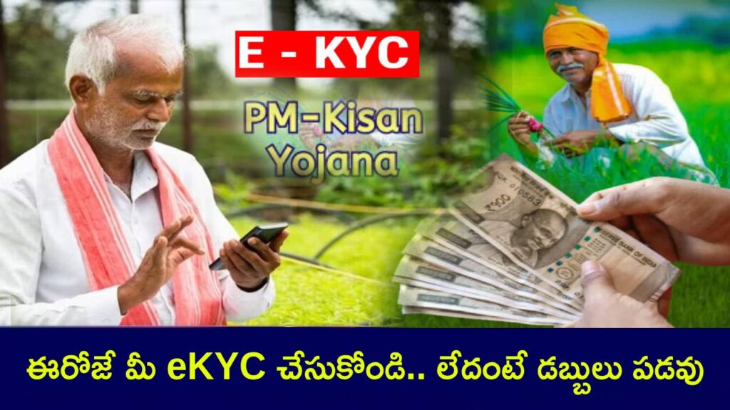 PM Kisan Yojana 19th installment update