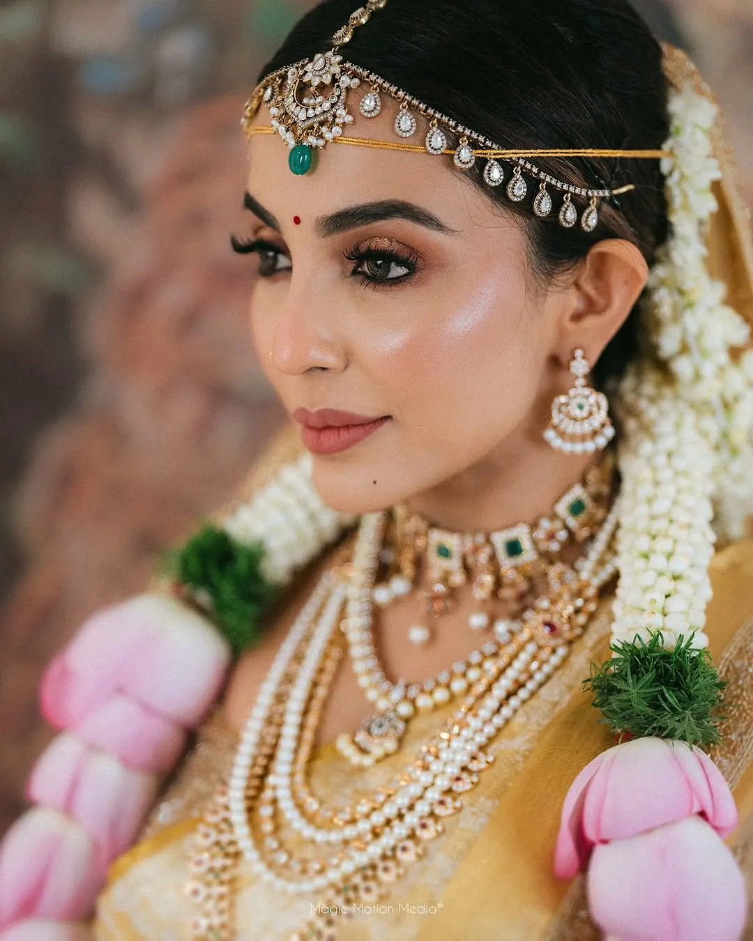 Actress Parvati Nair Married Businessmen Aasrith Ashok