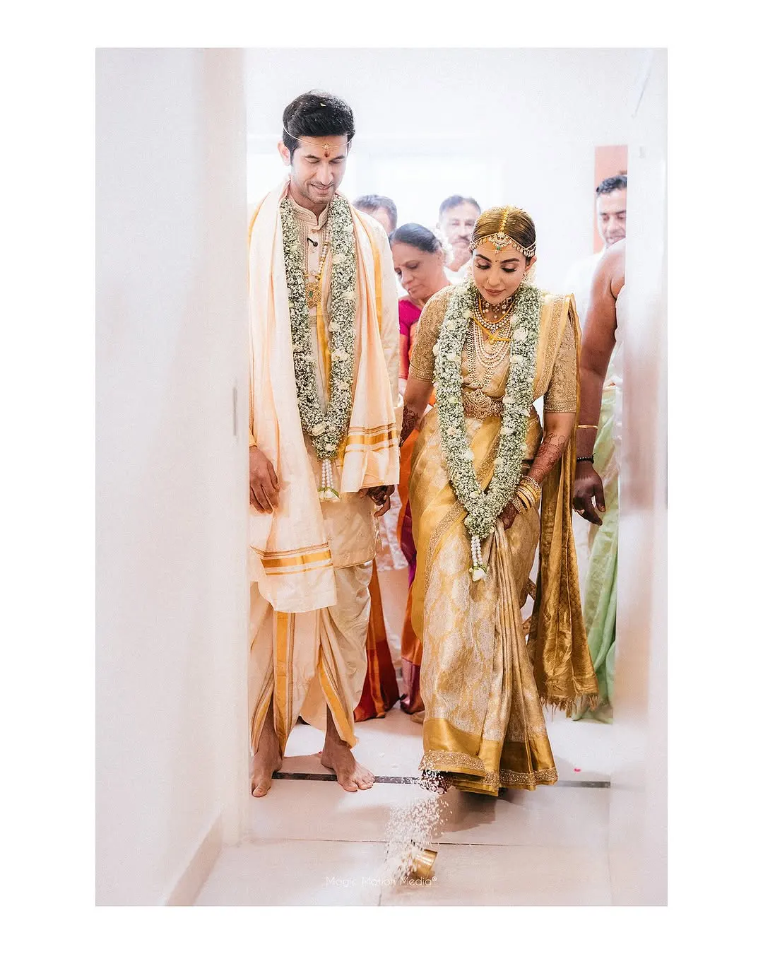 Actress Parvati Nair Married Businessmen Aasrith Ashok