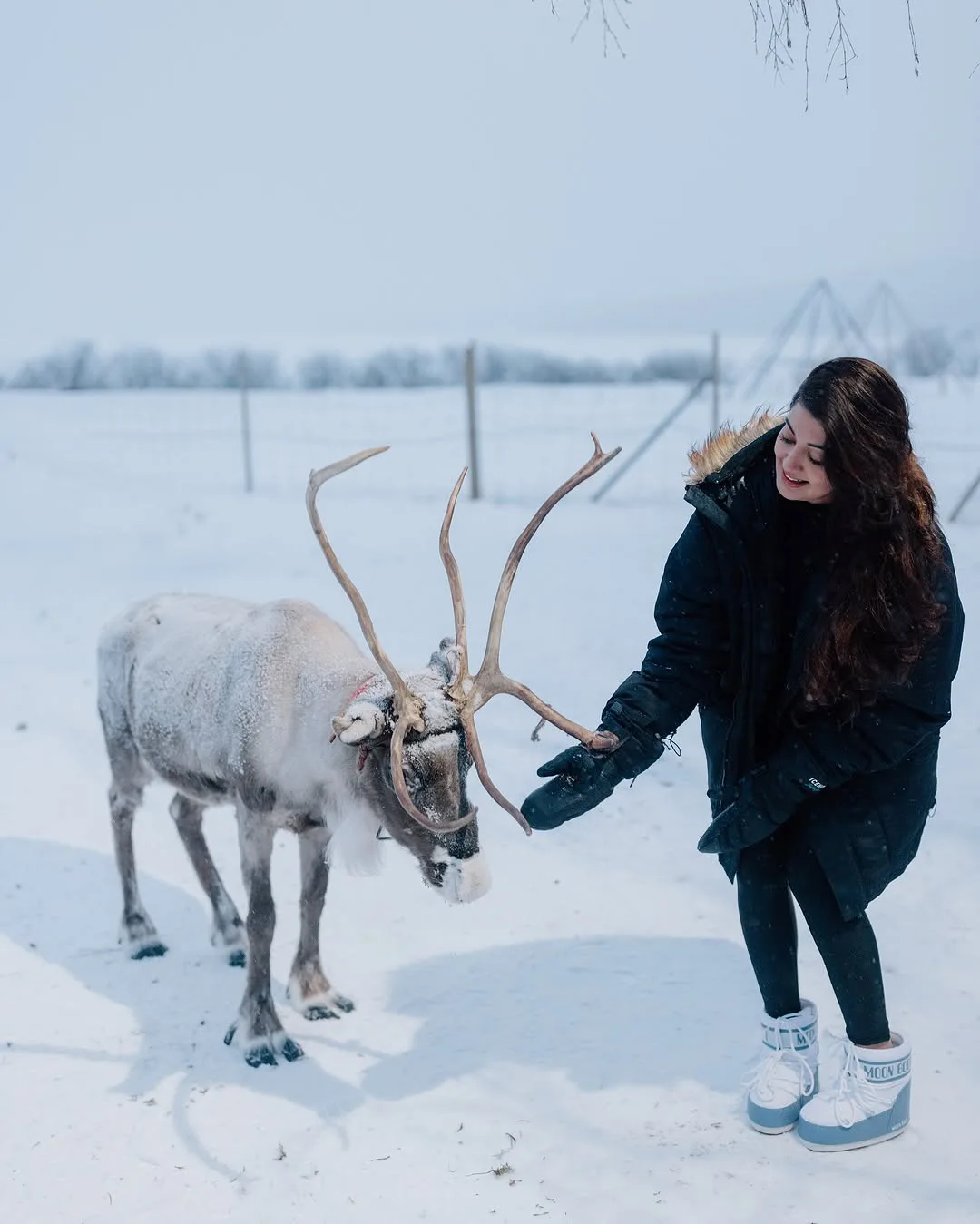 Pranita Subhash Enjoying Vacation Sweden