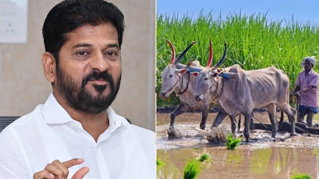 Rythu Bharosa: మీకు రైతుభరోసా డబ్బులు ఇంకా పడలేదా.. ఇదే కారణం.! Rythu Bharosa: మీకు రైతుభరోసా డబ్బులు ఇంకా పడలేదా.. ఇదే కారణం.!
