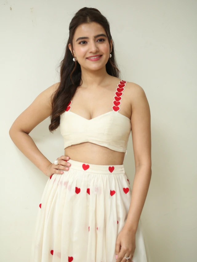 Rukshar Dhillon Photos in Love Symbols Special Dress