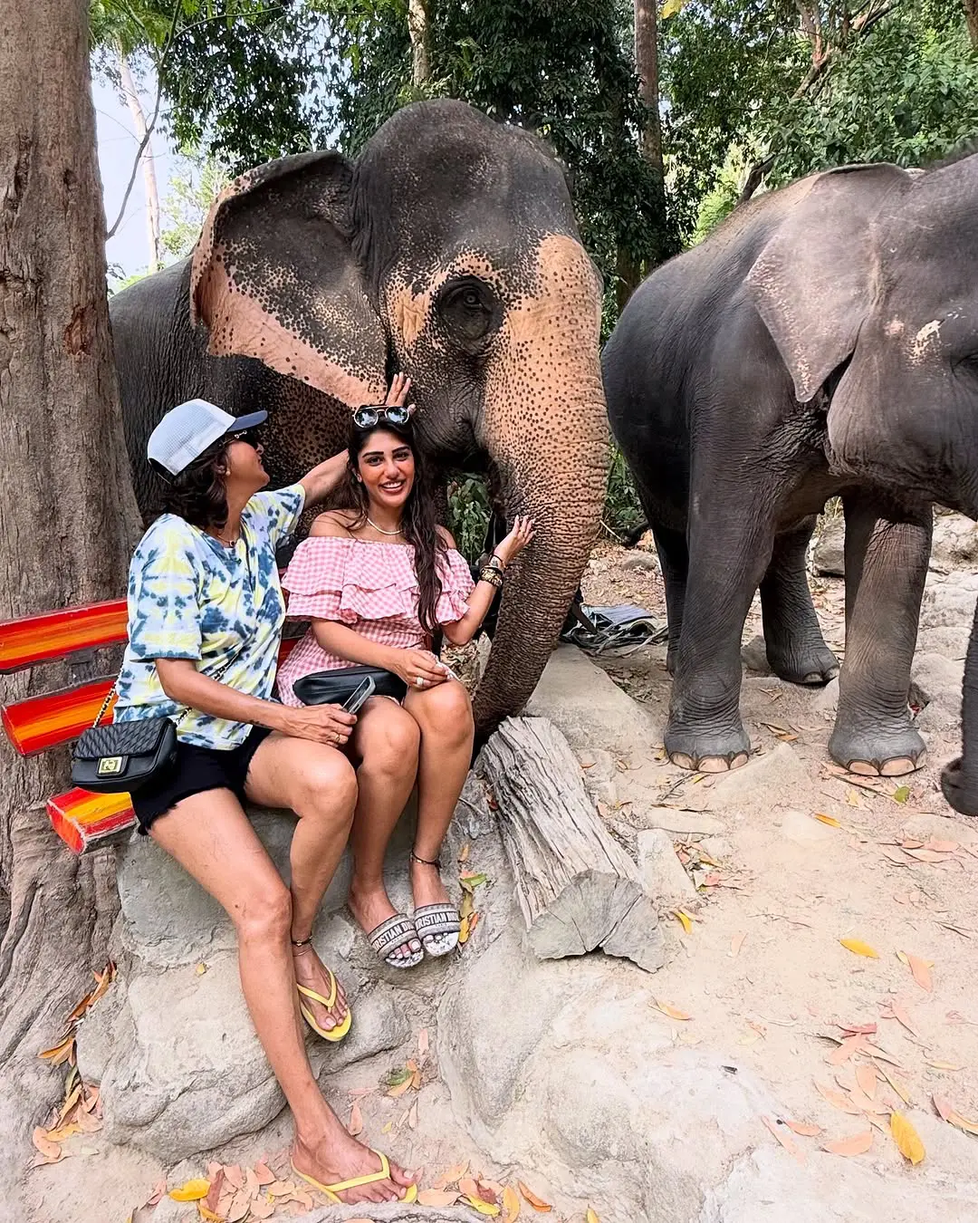 Supritha Surekha Vani Enjoying Vacation in Thailand with Elephants