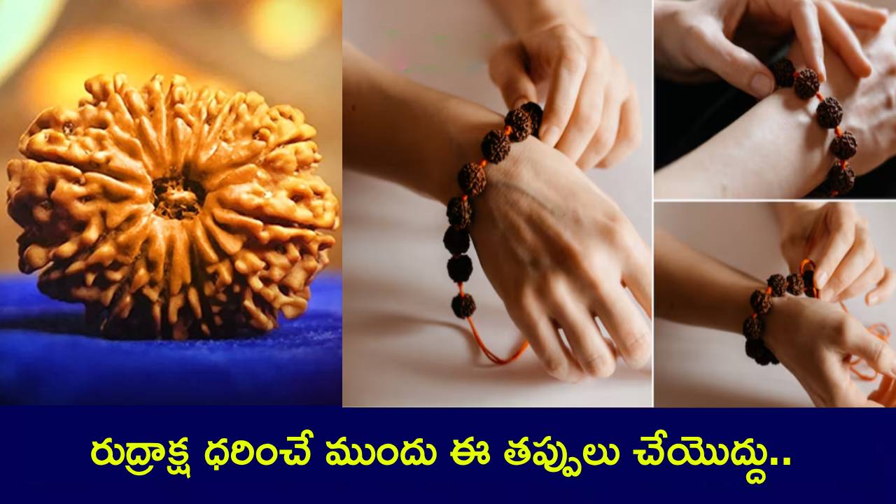 Astrology Tips : రుద్రాక్ష ధరించే ముందు గుర్తుంచుకోవాల్సిన 9 విషయాలు.. ఏం చేయాలి? ఏం చేయకూడదంటే? Astrology Tips : రుద్రాక్ష ధరించే ముందు గుర్తుంచుకోవాల్సిన 9 విషయాలు.. ఏం చేయాలి? ఏం చేయకూడదంటే?
