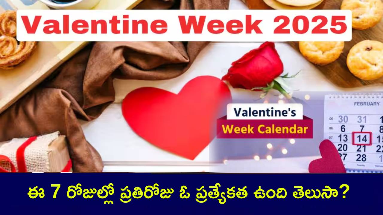 Valentine’s Week 2025 : వాలైంటెన్స్ డే వీక్.. రోజ్ డే నుంచి కిస్ డే వరకు.. ఈ 7 రోజుల్లో ప్రతిరోజు ఓ ప్రత్యేకత ఉంది తెలుసా? Valentine’s Week 2025 : వాలైంటెన్స్ డే వీక్.. రోజ్ డే నుంచి కిస్ డే వరకు.. ఈ 7 రోజుల్లో ప్రతిరోజు ఓ ప్రత్యేకత ఉంది తెలుసా?