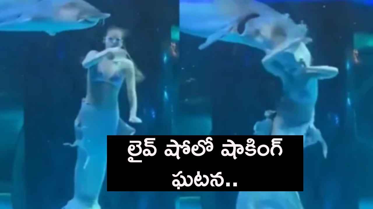 Woman Attacked By Giant Fish : వామ్మో.. లైవ్ షో లో ఘోరం జరిగిపోయింది.. యువతిపై భారీ చేప ఎలా దాడి చేసిందో చూడండి.. Woman Attacked By Giant Fish : వామ్మో.. లైవ్ షో లో ఘోరం జరిగిపోయింది.. యువతిపై భారీ చేప ఎలా దాడి చేసిందో చూడండి..