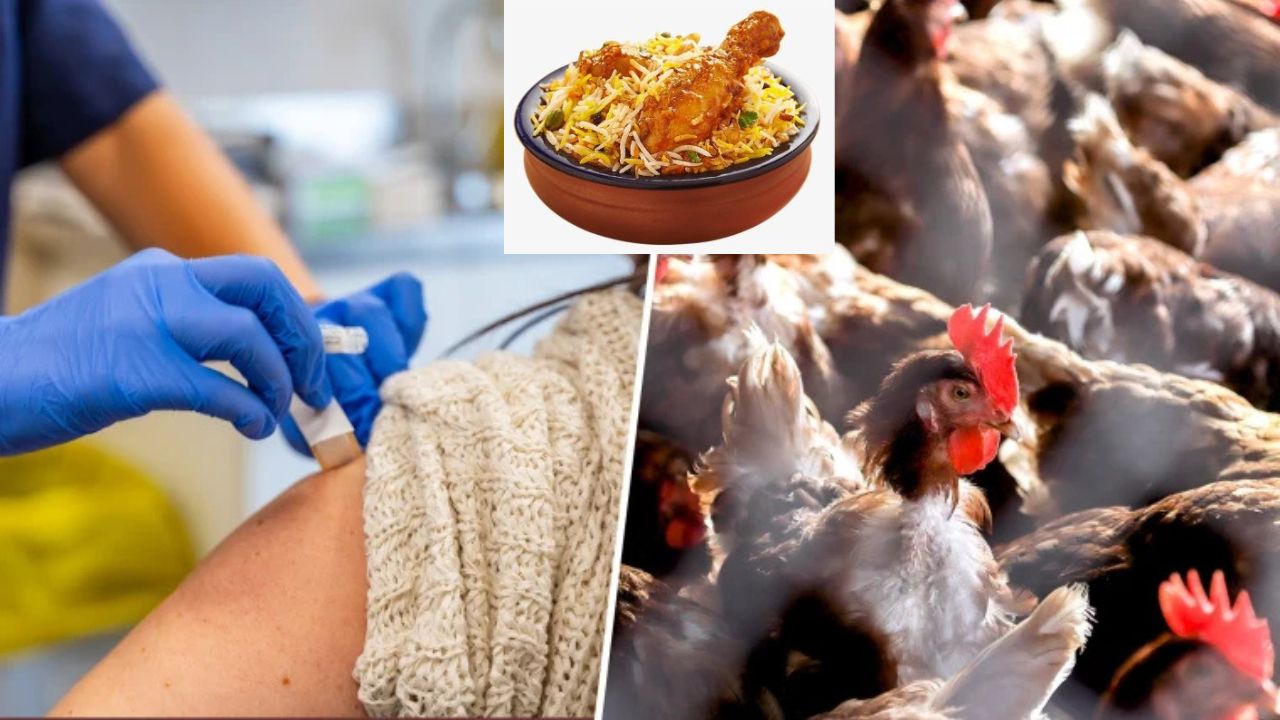 Burd flu: బర్డ్ ఫ్లూ టైమ్లో కూడా చికెన్ తినాలంటే ఇలా చేయండి.. Burd flu: బర్డ్ ఫ్లూ టైమ్లో కూడా చికెన్ తినాలంటే ఇలా చేయండి..