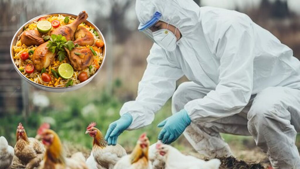 What is Bird Flu