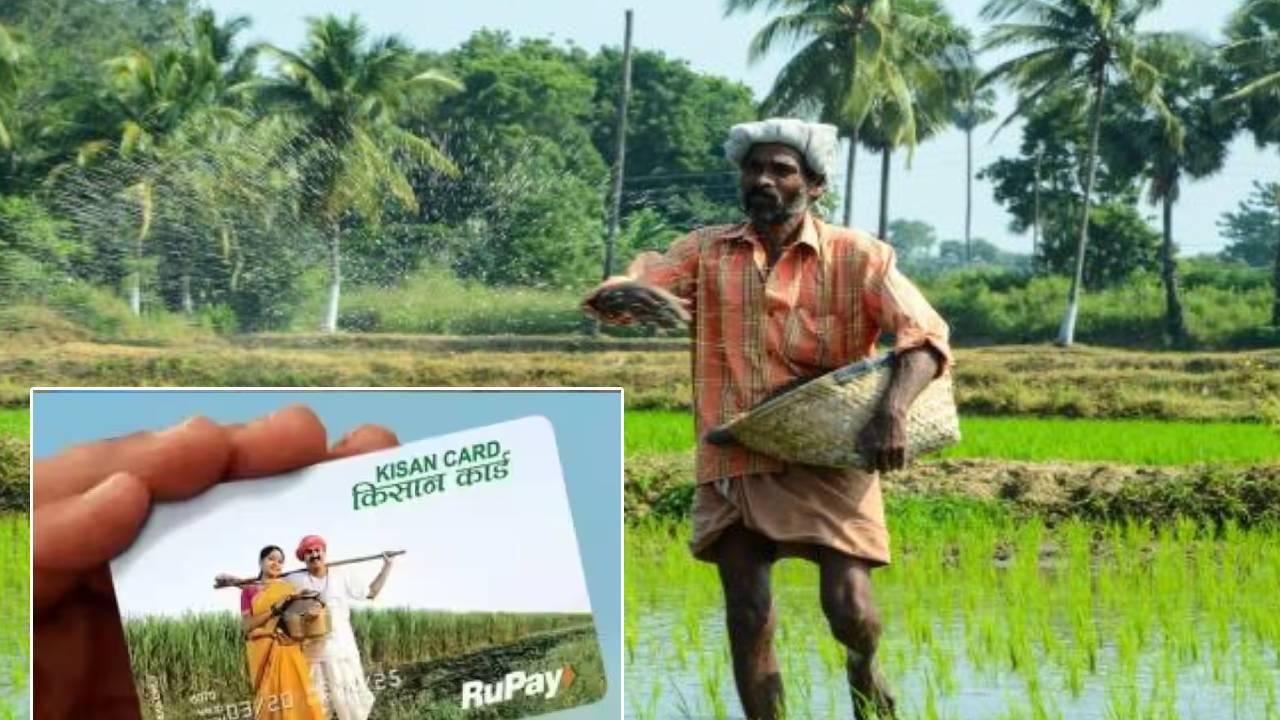 kisan credit card: రైతులకు రూ.5లక్షలు ఇచ్చే స్కీమ్.. ఎలా అప్లయ్ చేసుకోవాలో స్టెప్ బై స్టెప్ ప్రాసెస్.. kisan credit card: రైతులకు రూ.5లక్షలు ఇచ్చే స్కీమ్.. ఎలా అప్లయ్ చేసుకోవాలో స్టెప్ బై స్టెప్ ప్రాసెస్..