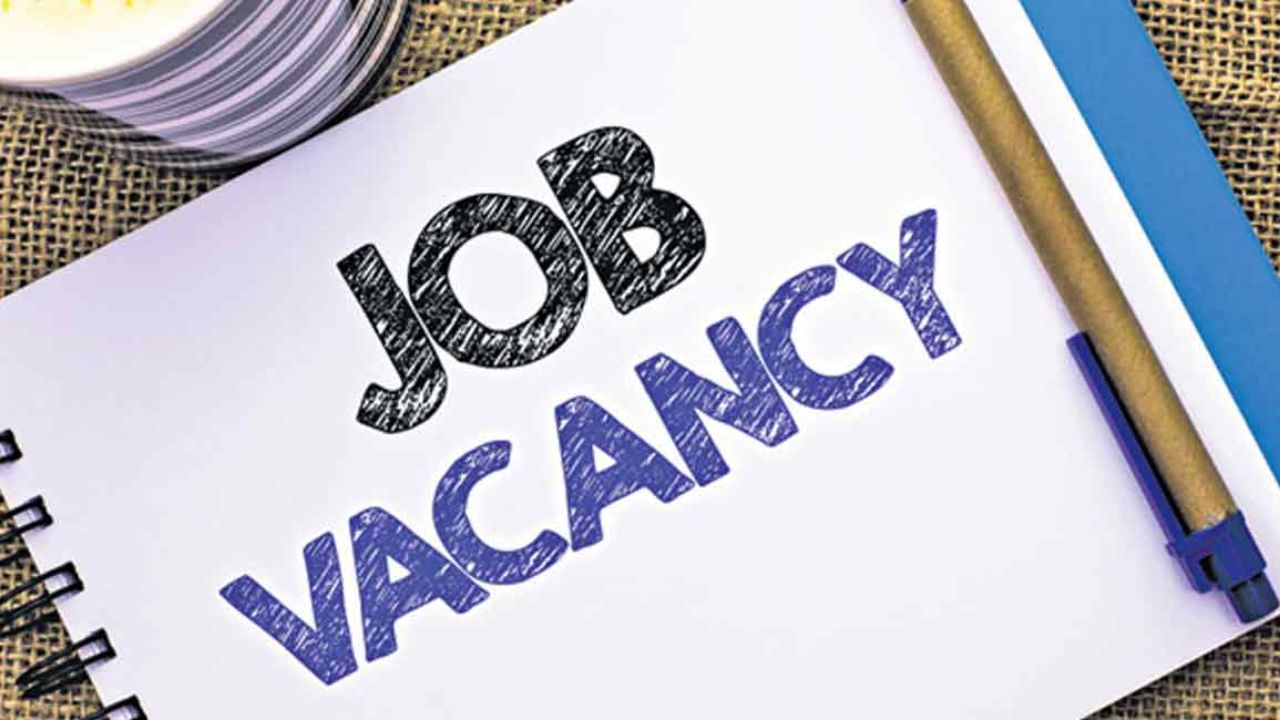 Hyderabad Job Mela: హైదరాబాద్లో జాబ్ మేళా.. ఎక్కడ.. ఎప్పుడు.. కాంటాక్ట్ ఫోన్ నెంబర్.. ఫుల్ డిటెయిల్స్ Hyderabad Job Mela: హైదరాబాద్లో జాబ్ మేళా.. ఎక్కడ.. ఎప్పుడు.. కాంటాక్ట్ ఫోన్ నెంబర్.. ఫుల్ డిటెయిల్స్