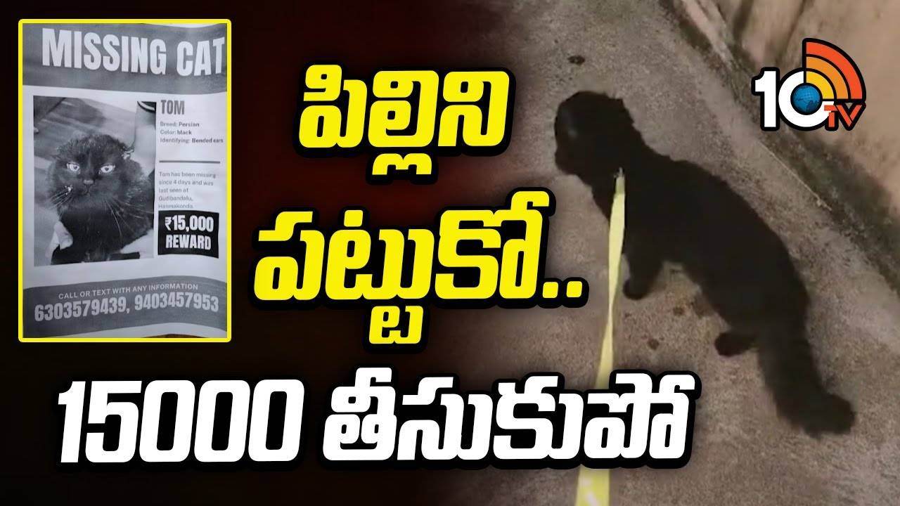 Warangal : పిల్లిని పట్టుకో.. 15000 తీసుకుపో..