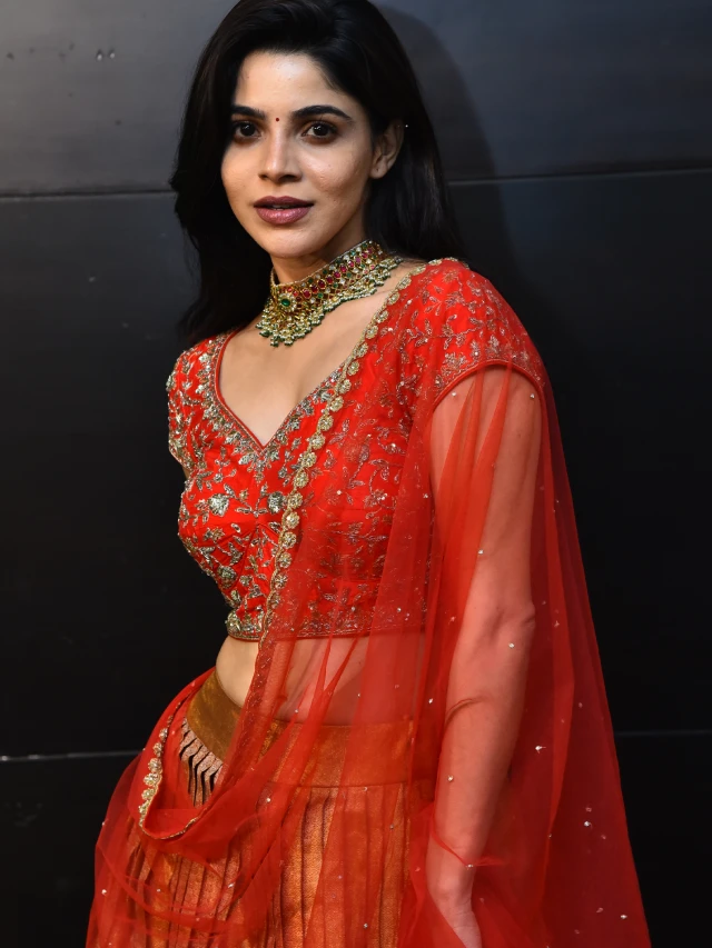 Divyabharathi Shines in her Telugu First Event