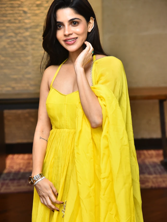 Divyabharathi Shines in her Telugu First Event