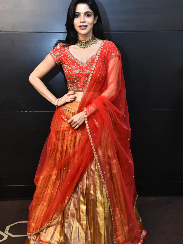 Divyabharathi Shines in her Telugu First Event