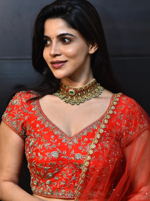 Divyabharathi Shines in her Telugu First Event