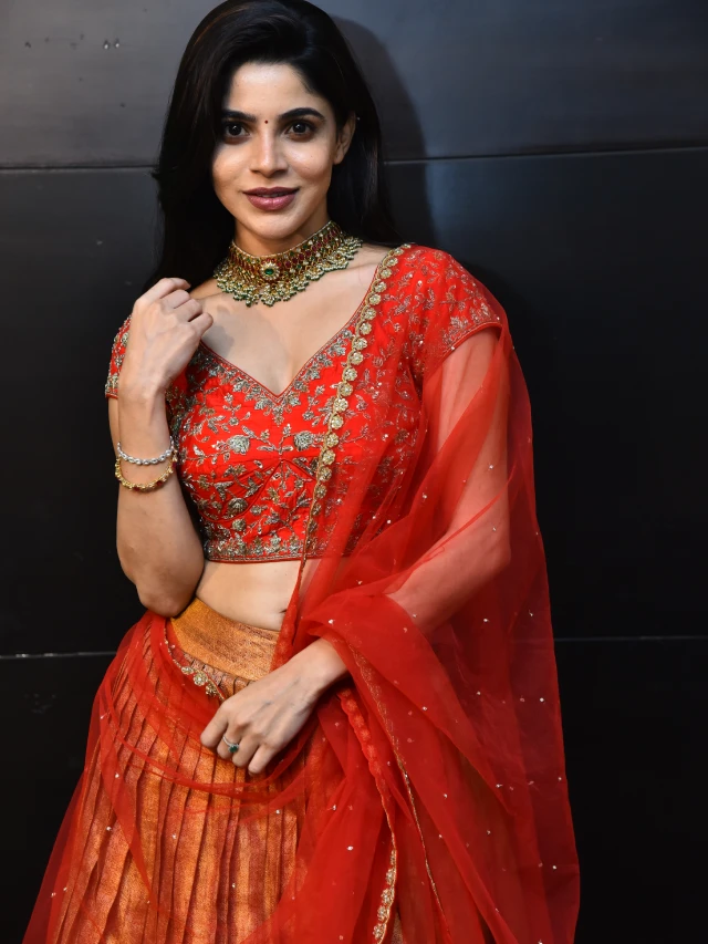 Divyabharathi Shines in her Telugu First Event