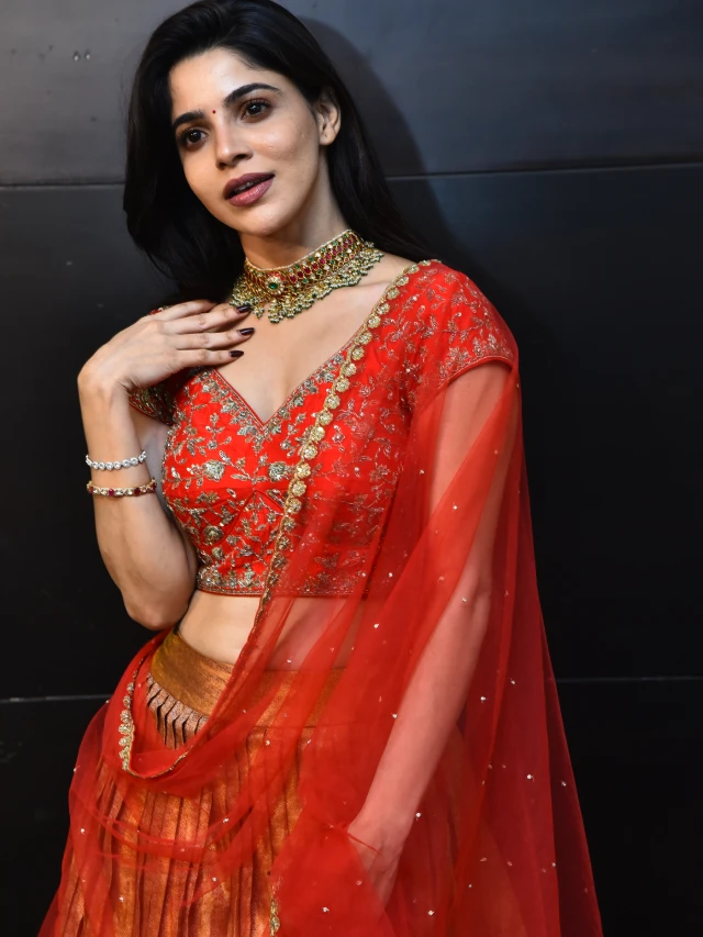 Divyabharathi Shines in her Telugu First Event