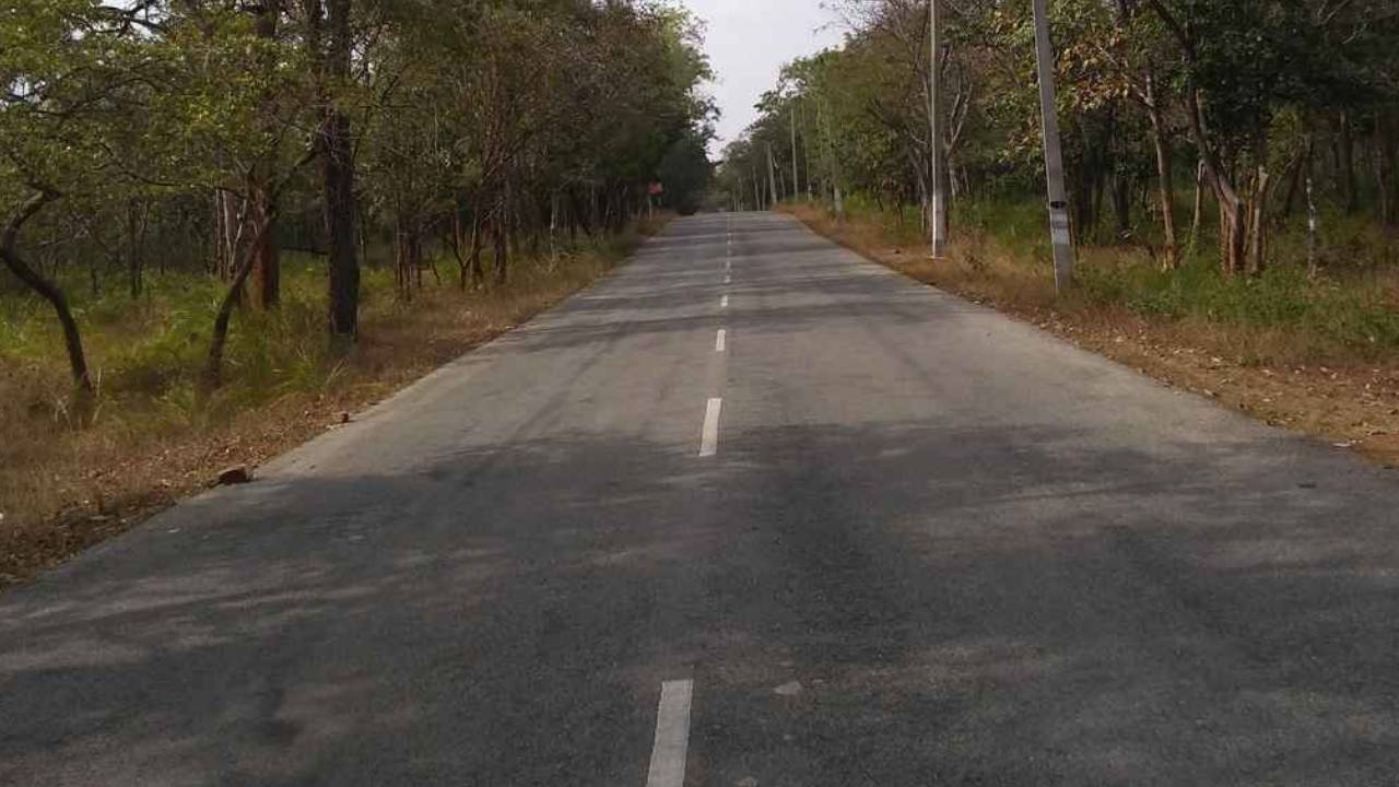 Hyderabad to Srisailam Highway: అభయారణ్యంలో ఎలివేటెడ్ కారిడార్ కు కేంద్రం గ్రీన్ సిగ్నల్.. శ్రీశైలానికి సాఫీగా వెళ్లొచ్చు.. Hyderabad to Srisailam Highway: అభయారణ్యంలో ఎలివేటెడ్ కారిడార్ కు కేంద్రం గ్రీన్ సిగ్నల్.. శ్రీశైలానికి సాఫీగా వెళ్లొచ్చు..