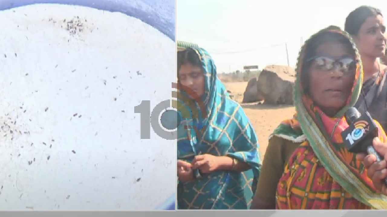 Insects Attack : అయ్యో పాపం.. గ్రామస్తులపై పురుగుల దాడి.. సాయంత్రం అయితే చాలు భయంతో వణికిపోతున్నారు.. Insects Attack : అయ్యో పాపం.. గ్రామస్తులపై పురుగుల దాడి.. సాయంత్రం అయితే చాలు భయంతో వణికిపోతున్నారు..