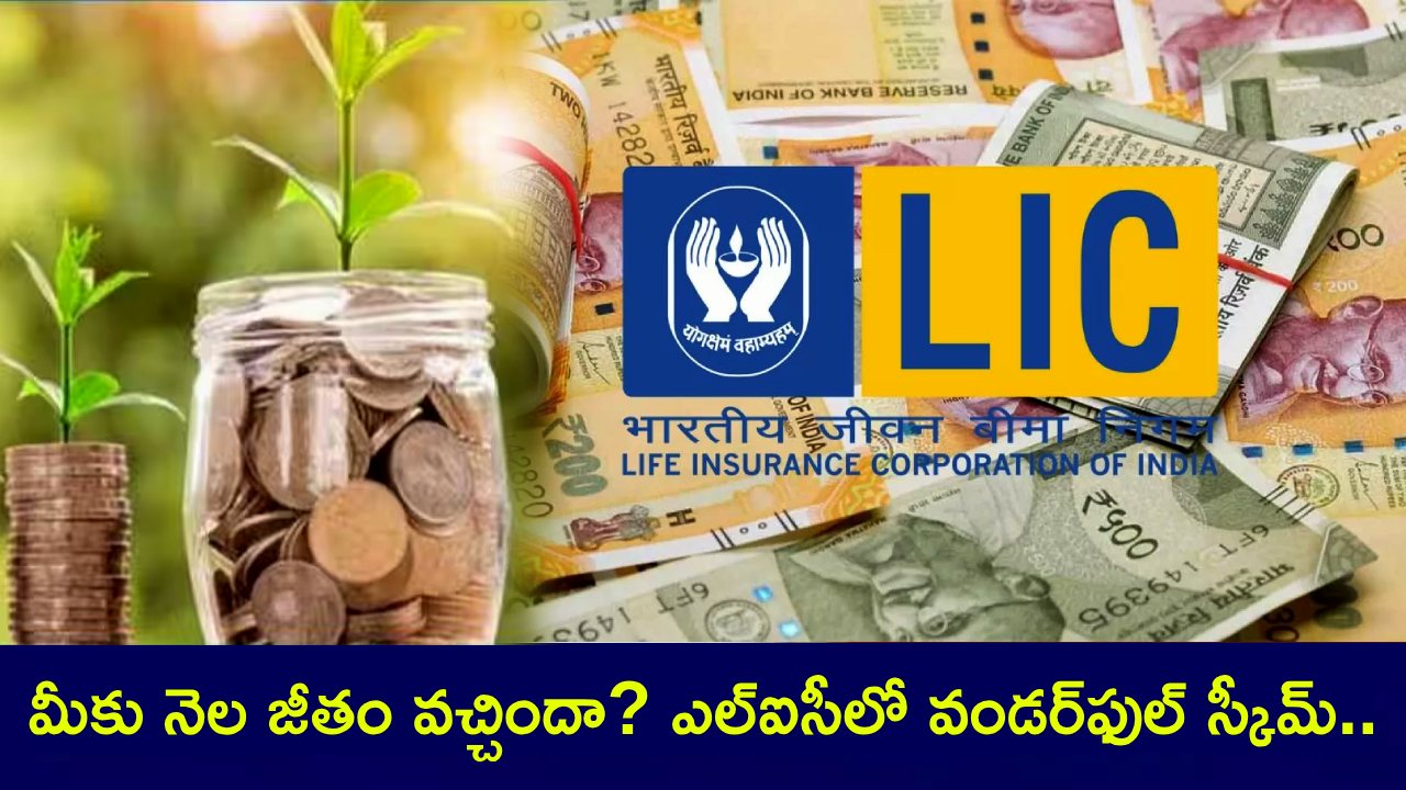 LIC Scheme : మీకు నెల జీతం వచ్చిందా? ఎల్ఐసీలో వండర్ఫుల్ స్కీమ్.. జస్ట్ రూ. 200 డిపాజిట్ చేస్తే.. రూ.20 లక్షలు సంపాదించవచ్చు! LIC Scheme : మీకు నెల జీతం వచ్చిందా? ఎల్ఐసీలో వండర్ఫుల్ స్కీమ్.. జస్ట్ రూ. 200 డిపాజిట్ చేస్తే.. రూ.20 లక్షలు సంపాదించవచ్చు!