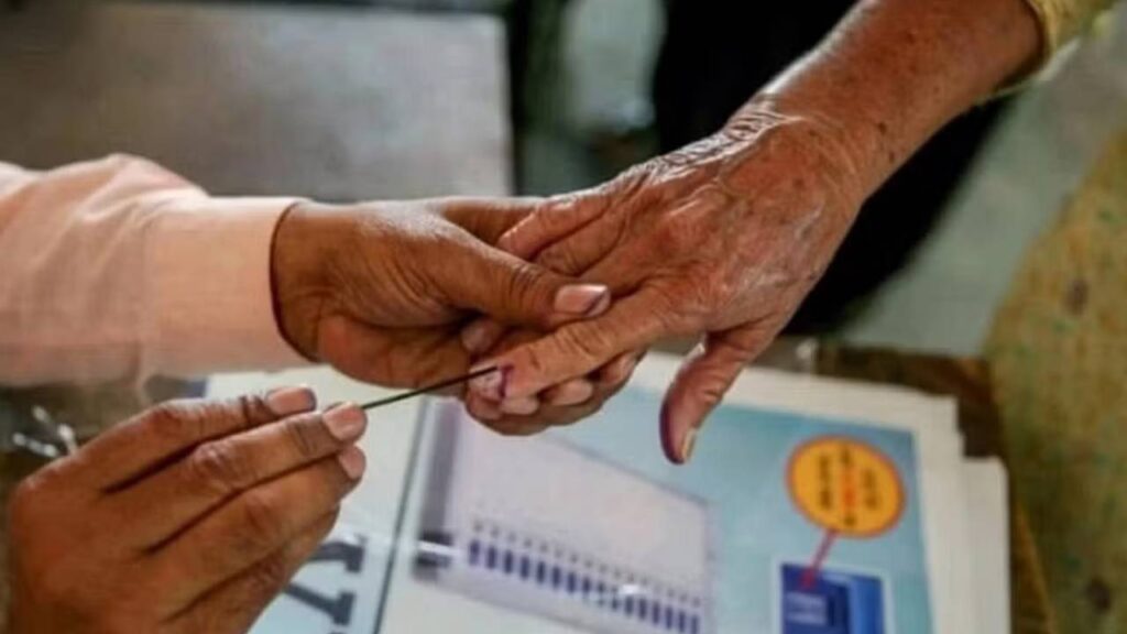 MLC elections
