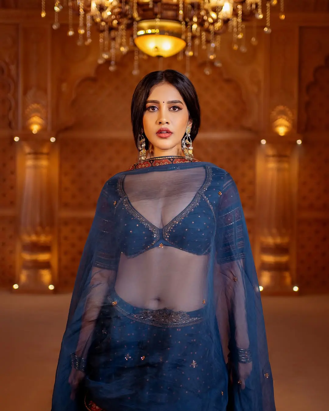 Nabha Natesh Shines in Raj Mahal with her Beauty