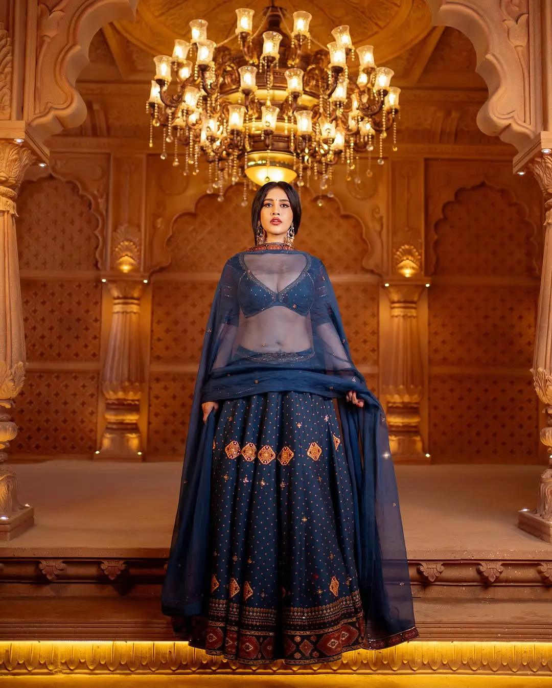 Nabha Natesh Shines in Raj Mahal with her Beauty