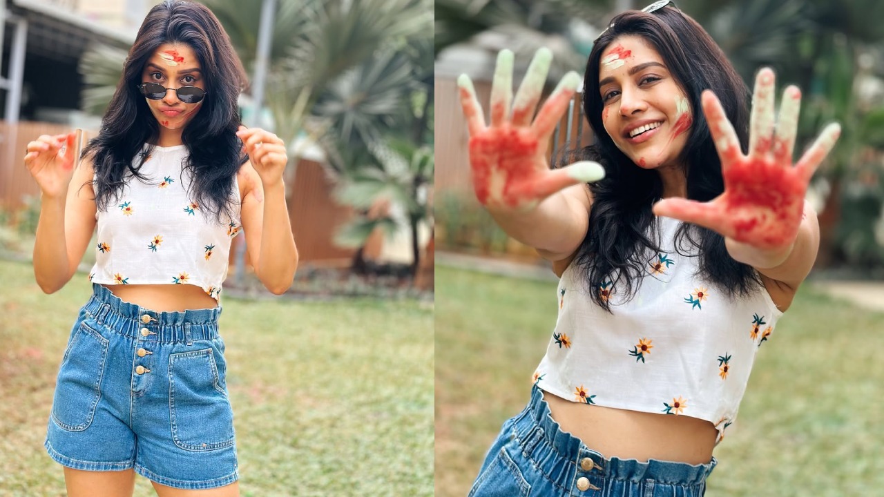 Nabha Natesh : నభా నటేష్ హోలీ సెలబ్రేషన్స్ ఫొటోలు చూశారా?