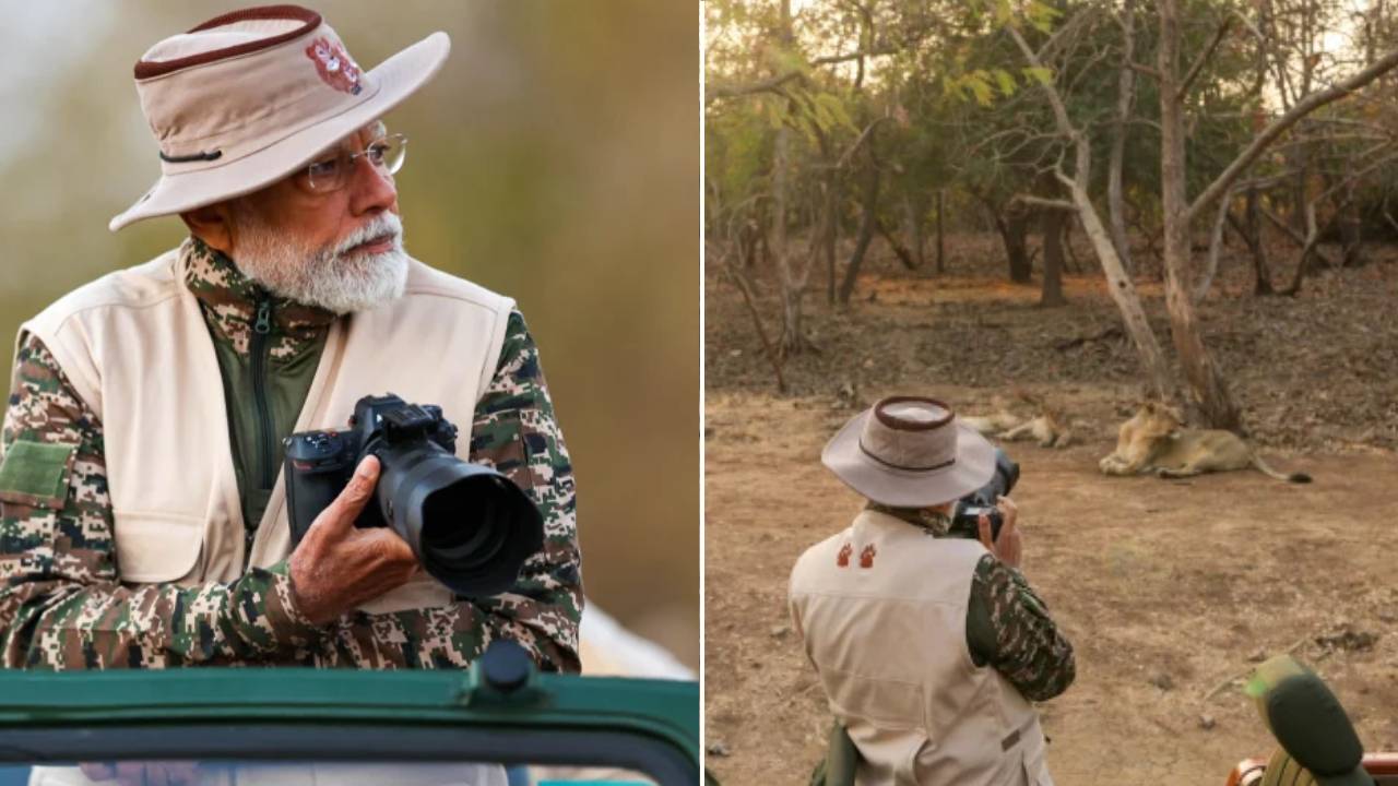 PM Modi: గిర్ అడవుల్లో ప్రధాని మోదీ సఫారీ.. మోదీ తీసిన సింహాల ఫొటోలు చూశారా..