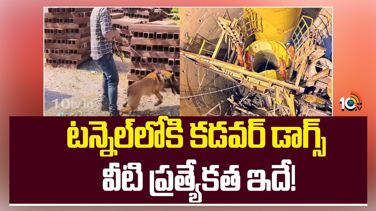 టన్నెల్‎లోకి కడవర్ డాగ్స్..  వీటి ప్రత్యేకత ఏంటంటే..?