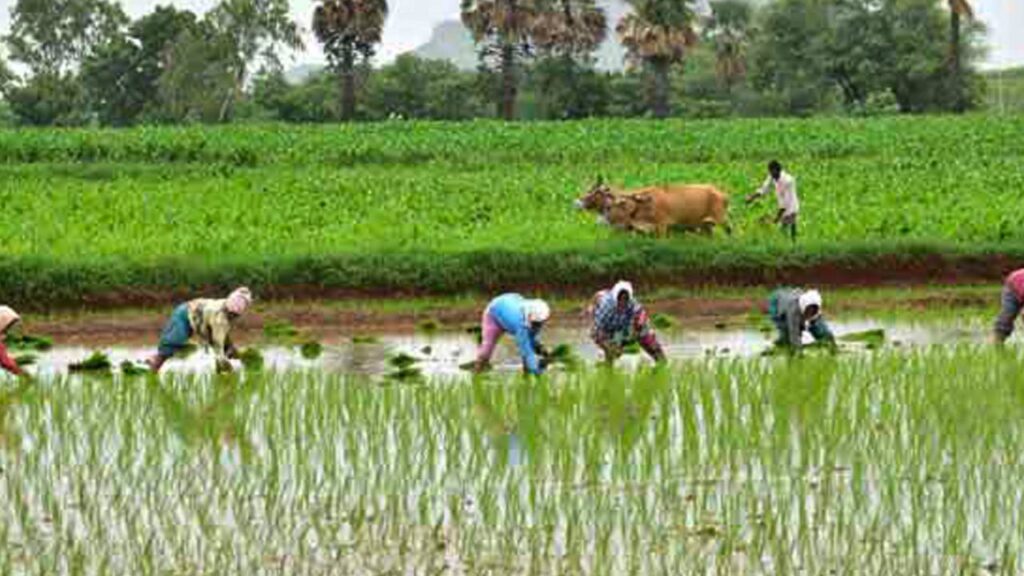 Tenant Farmers