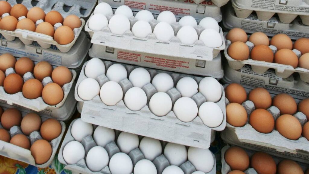 USA Eggs Smuggling