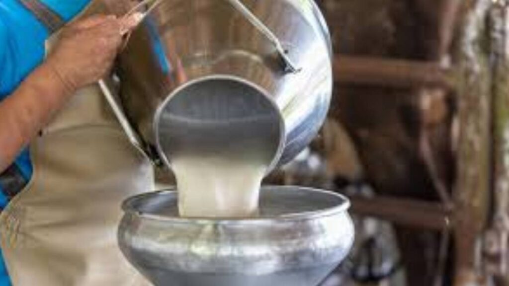 Vijaya Dairy