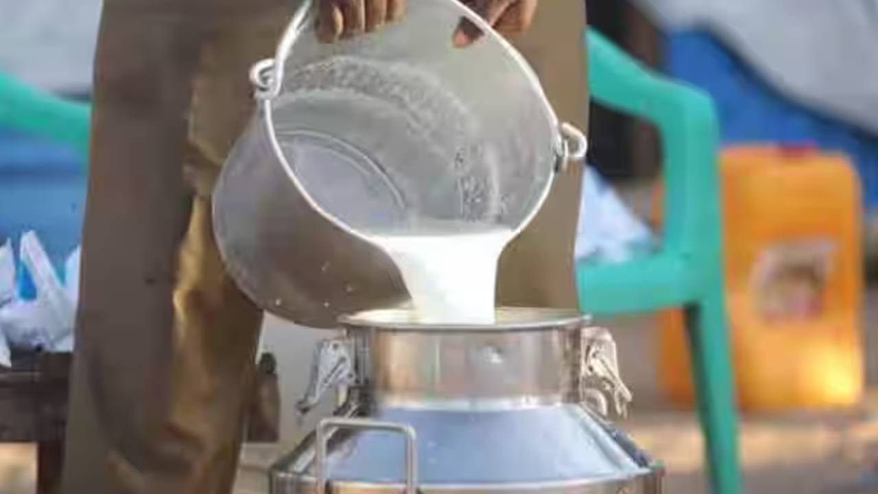 Vijaya milk: రైతులకు గుడ్న్యూస్.. విజయ పాల సేకరణ ధరలు పెంపు యోచనలో ప్రభుత్వం.. ఎంతంటే? Vijaya milk: రైతులకు గుడ్న్యూస్.. విజయ పాల సేకరణ ధరలు పెంపు యోచనలో ప్రభుత్వం.. ఎంతంటే?