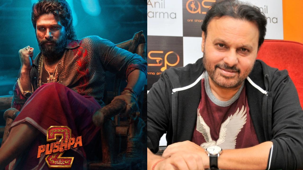 Anil Sharma : అల్లు అర్జున్ పుష్ప 2 సినిమా వల్ల నా సినిమాకు థియేటర్స్ దొరకలేదు.. బాలీవుడ్ డైరెక్టర్ కామెంట్స్ వైరల్.. Anil Sharma : అల్లు అర్జున్ పుష్ప 2 సినిమా వల్ల నా సినిమాకు థియేటర్స్ దొరకలేదు.. బాలీవుడ్ డైరెక్టర్ కామెంట్స్ వైరల్..