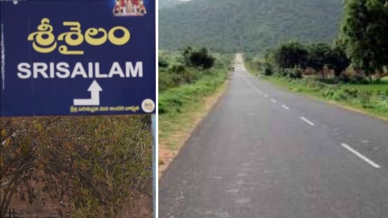 Srisailam Highway: భూగర్భ మార్గం ద్వారా శ్రీశైలానికి..! కేంద్రం కీలక నిర్ణయం.. అధ్యయనంకోసం రంగంలోకి.. Srisailam Highway: భూగర్భ మార్గం ద్వారా శ్రీశైలానికి..! కేంద్రం కీలక నిర్ణయం.. అధ్యయనంకోసం రంగంలోకి..