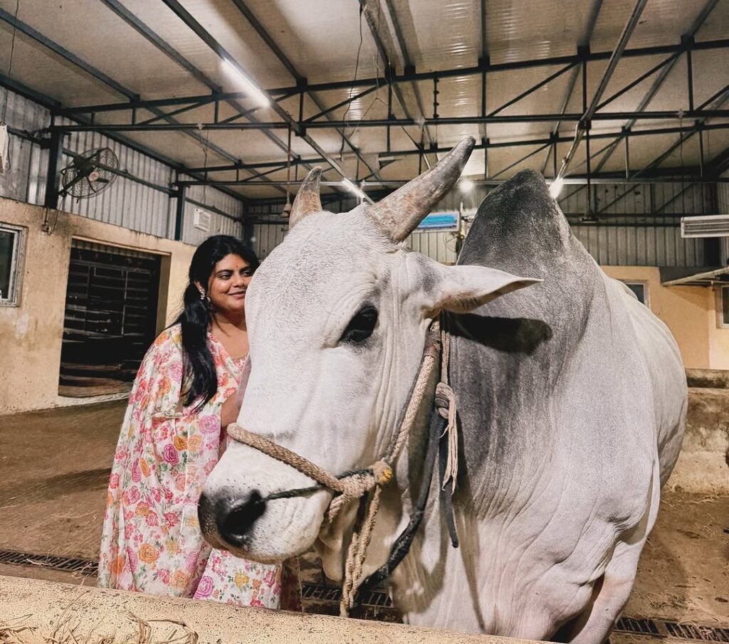 Star Director Daughter Cute Photos with Cow Photos goes Viral 